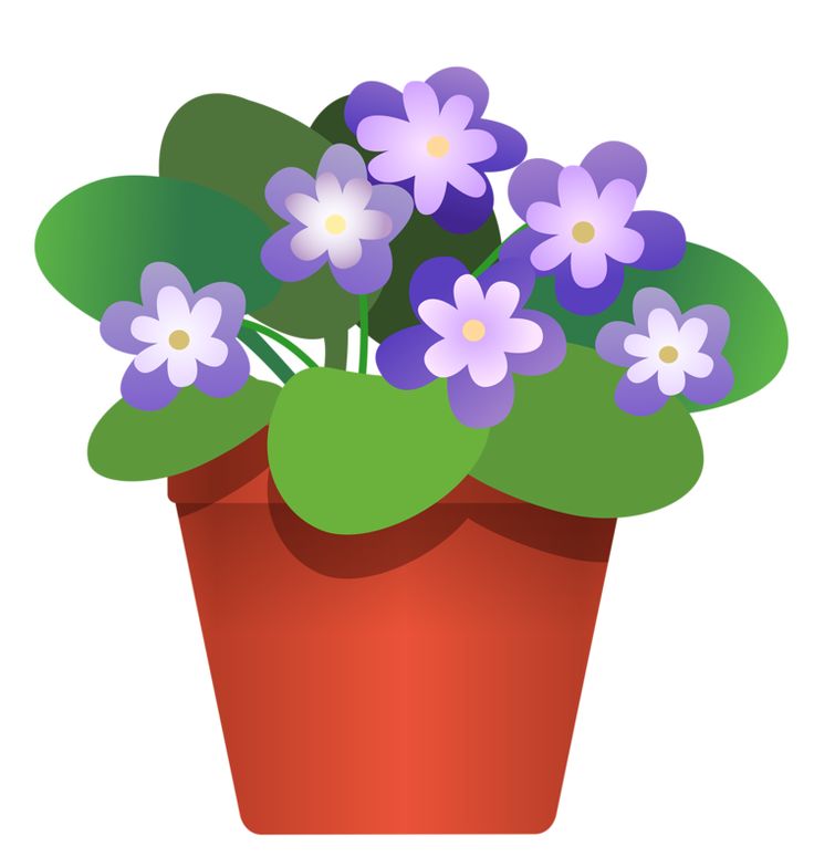 Spring Plant Fundraiser