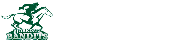 Bjorkdale School