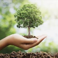 Plant a tree as a family to celebrate Earth Day!!